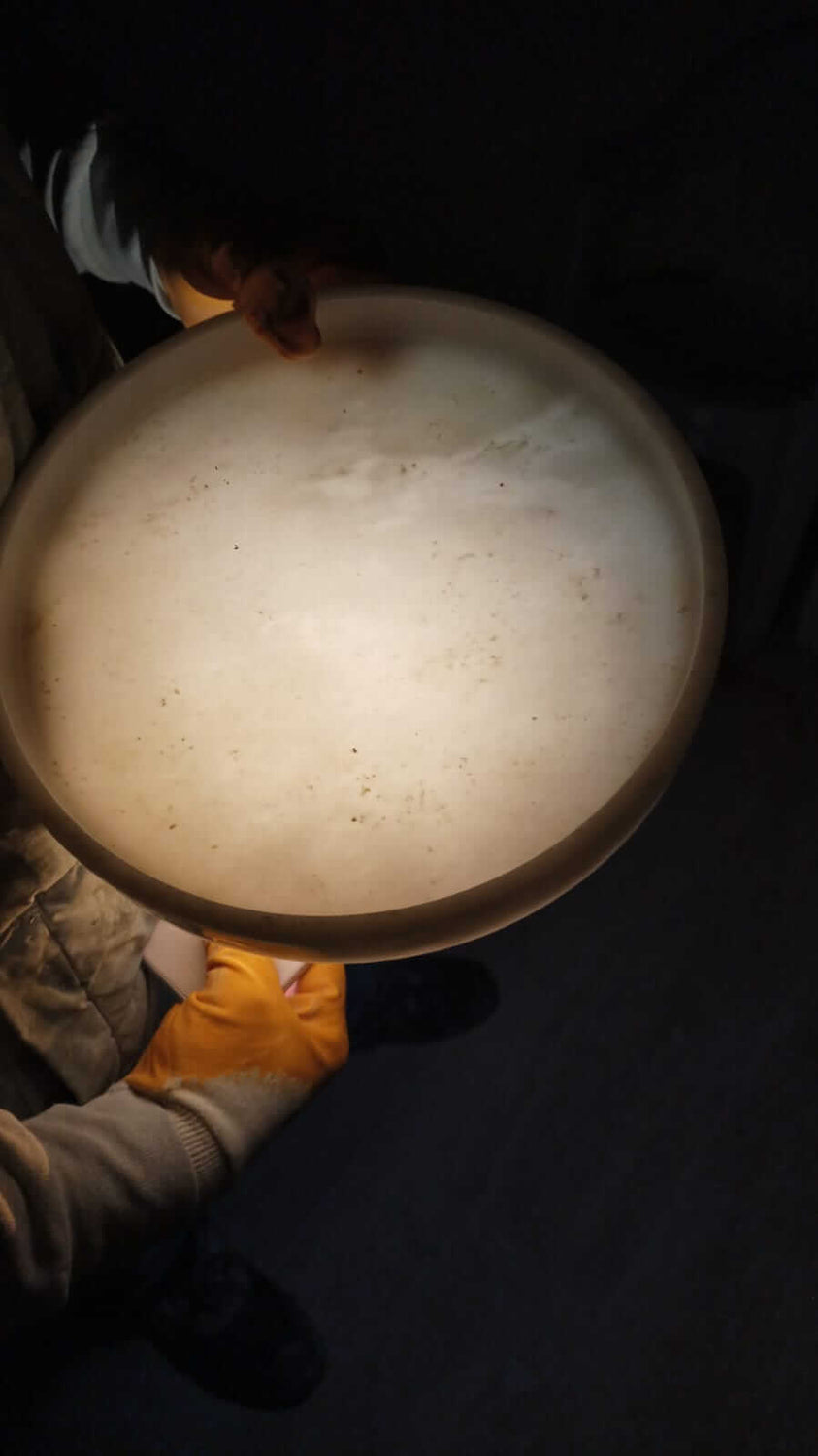 A person wearing gloves holds a large, round, translucent disc upright. It resembles the White Alabaster Round Tray by Travertable and is slightly textured. Illuminated from behind against a dark background, it glows, highlighting this luxurious marble accent piece for decor and organization.